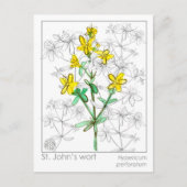 聖ヨハネのヨモギの薬草マテリアメディカカードHerbal ポストカード (正面)