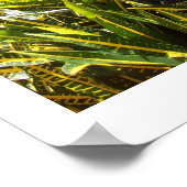 聖ヨハネ教会 ポスター (角)