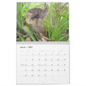 聖ヨハネ、USVI カレンダー (3月 2027)