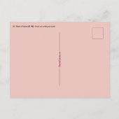 聖リマバラ(詳細、K 48) ポストカード (裏面)