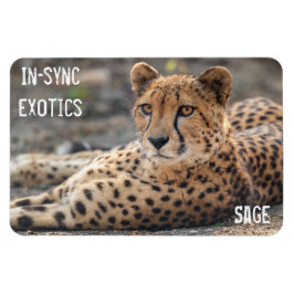 聖人- マグネット