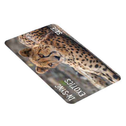 聖人- マグネット (右側)