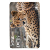 聖人- マグネット (縦)