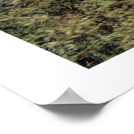 聖十字教会 ポスター (角)