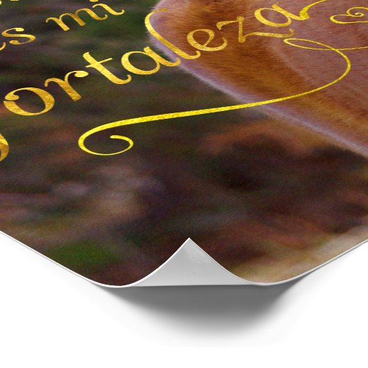 聖句スペインの微笑む馬のポスター ポスター (角)