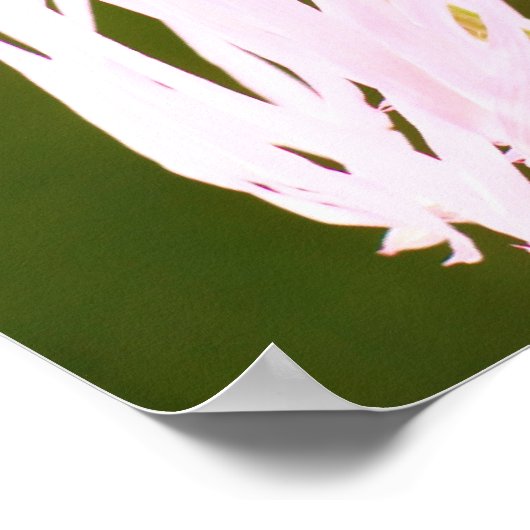 聖句ポスター ポスター (角)