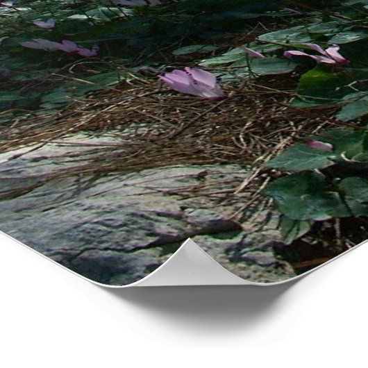 聖地イスラエルのベンシェメン森林 ポスター (角)