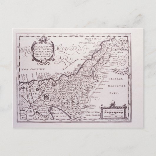 聖地パレスチナ ポストカード (正面)