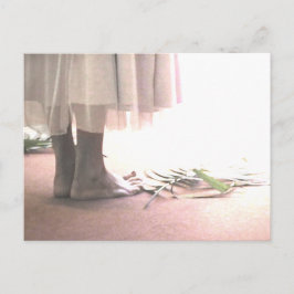 聖地ポストクロッシングはがき ポストカード