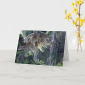 聖域グリーティングカード カード (黄色い花)