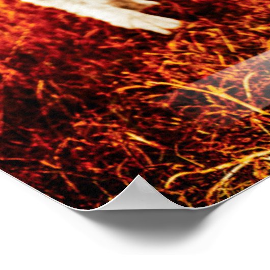 聖書の引用文後を追ザ・ウェイ・ポスター ポスター (角)