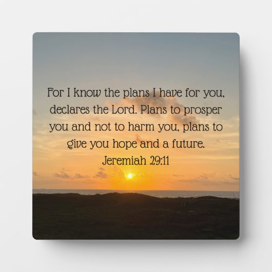 聖書の感動的聖句エレミヤ29:11クリスチャン フォトプラーク (正面)
