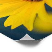 聖書の聖句エレミヤ29:11，黄色の野草 ポスター (角)