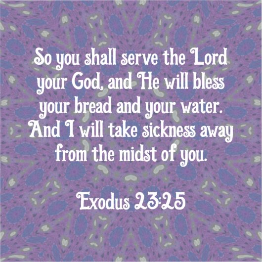 聖書の聖句ヒーリング聖なる書物、 経典引用文出エジプト23:25 シール (正面)