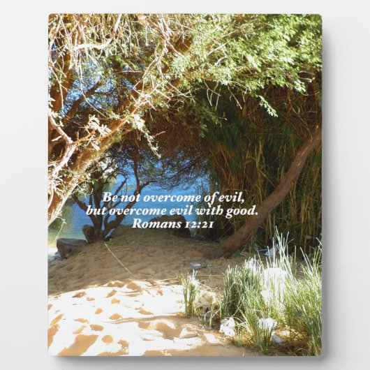 聖書の聖句ラブ引用文ことわざローマ人12:21 フォトプラーク (正面)
