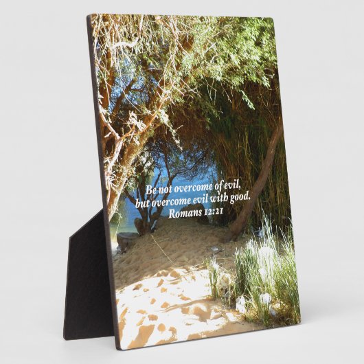 聖書の聖句ラブ引用文ことわざローマ人12:21 フォトプラーク (側面)