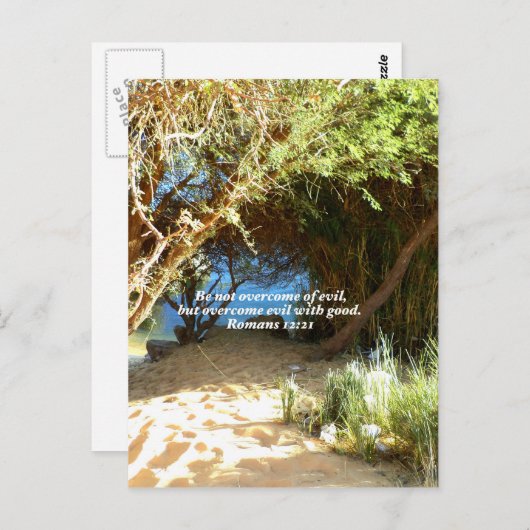 聖書の聖句ラブ引用文ことわざローマ人12:21 ポストカード (正面/裏面)