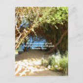 聖書の聖句ラブ引用文ことわざローマ人12:21 ポストカード (正面)