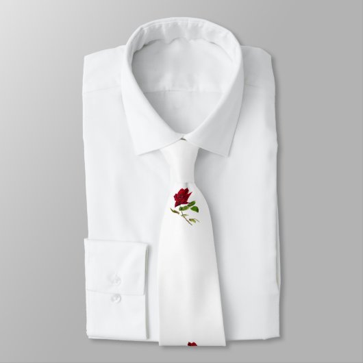 聖書の聖句 ネクタイ (タイ)