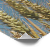 聖書の聖句，ピリピ4:13 ポスター (角)