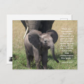 聖書の詩のはがき シーズンポストカード (正面/裏面)