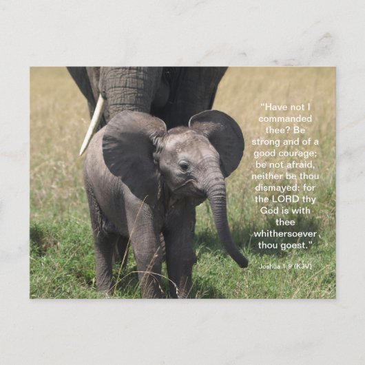 聖書の詩のはがき シーズンポストカード (正面)