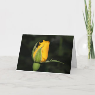 聖書の詩のインスピレーションのばら色カード カード