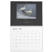 聖書の詩のカレンダーの野性生物シリーズ カレンダー (2月 2027)