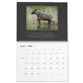 聖書の詩のカレンダーの野性生物シリーズ カレンダー (3月 2026)