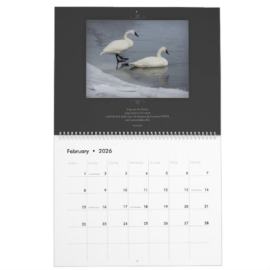 聖書の詩のカレンダーの野性生物シリーズ カレンダー (2月 2026)