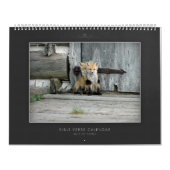 聖書の詩のカレンダーの野性生物シリーズ カレンダー (カバー)