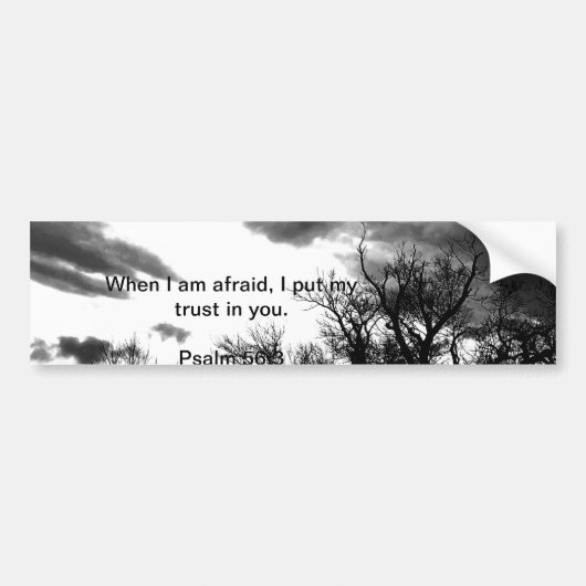聖書の詩のバンパーステッカー バンパーステッカー (正面)