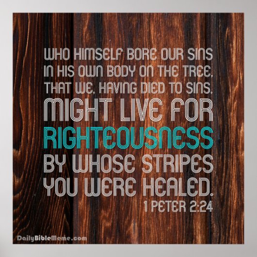 聖書の詩のポスター – 1ペテロ2:24 ポスター (正面)