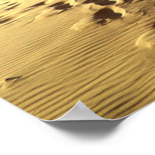 聖書の詩の引用文信頼の諺3:5-6 ポスター (角)