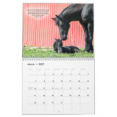 聖書の詩のFriesianの馬のカレンダー カレンダー (3月 2027)
