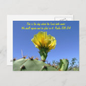 聖書の詩はがきサボテンの花 ポストカード (正面/裏面)