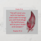 聖書の詩篇91:4 羽根のポストカード ポストカード (正面/裏面)