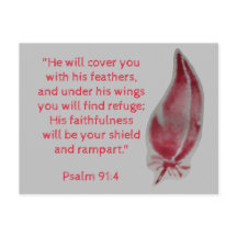 聖書の詩篇91:4 羽根のポストカード