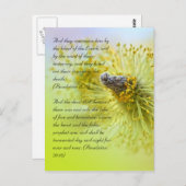 聖書の詩篇、春の季節 ポストカード (正面/裏面)