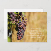 聖書の詩詩篇34:8はがき:味と見る ポストカード (正面/裏面)