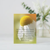 聖書の詩，デイジー ポストカード (スタンド正面)