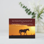 聖書の詩、夕日の馬 ポストカード (スタンド正面)