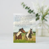 聖書の通路、美しい馬 ポストカード (スタンド正面)