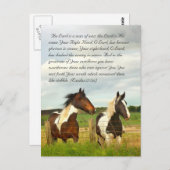 聖書の通路、美しい馬 ポストカード (正面/裏面)