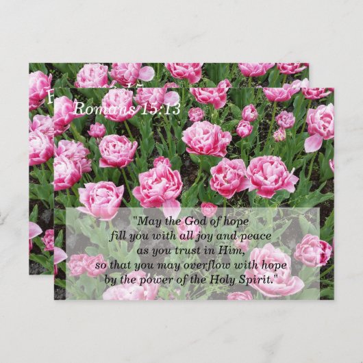 聖書の黙想と記憶カード ポストカード (正面/裏面)