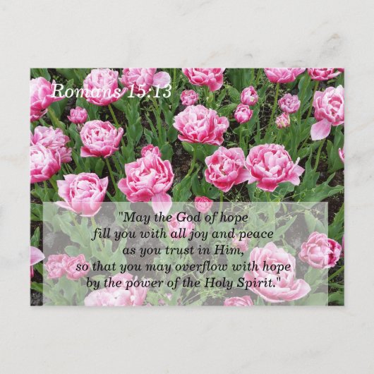 聖書の黙想と記憶カード ポストカード (正面)