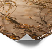 聖書ローマ人8:14神の霊 ポスター (角)