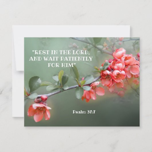 聖書日本の引用の装飾品 カード (正面)