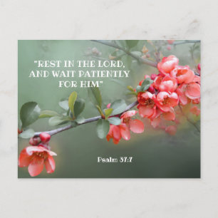 聖書日本の引用の装飾品 ポストカード