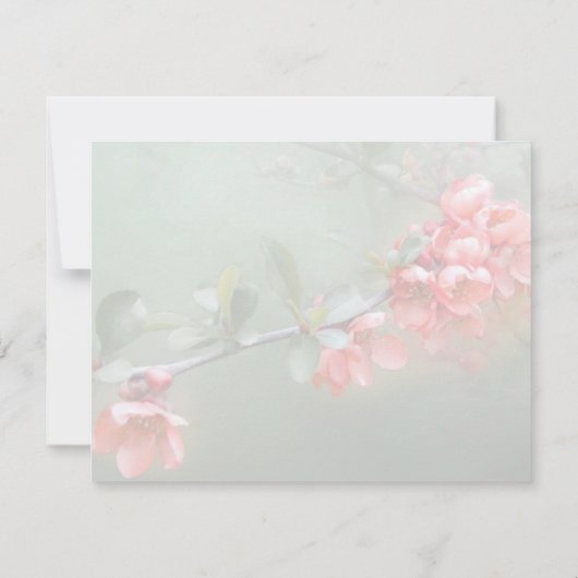 聖書日本の引用付き装飾用マリン カード (裏面)